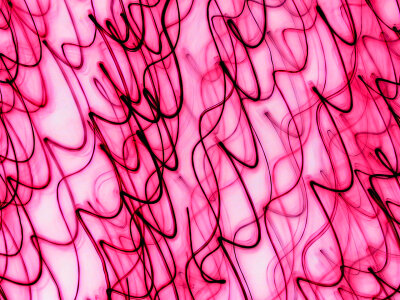Abstract Pink photo