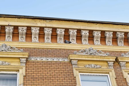 Baroque ornamental windows photo