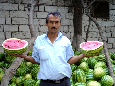 Farmer market watermelon photo