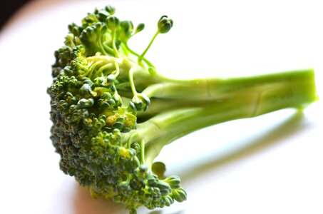 Agriculture broccoli close photo