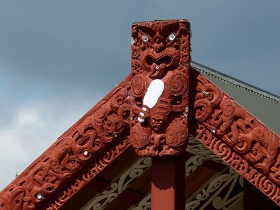 Wood new zealand north island photo