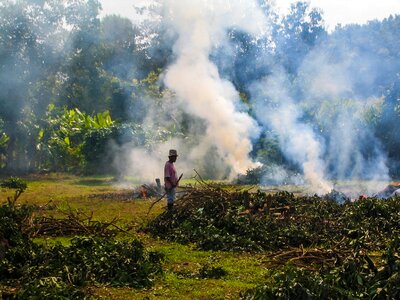 Smoke fire leaves burning