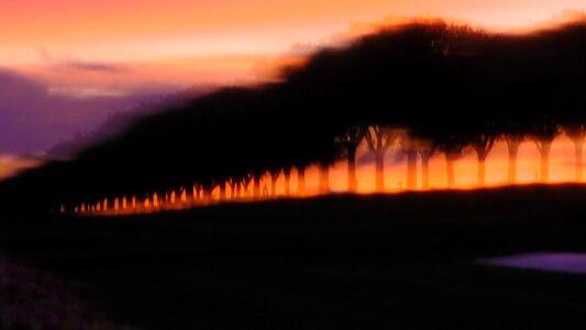 Trees blurry nature