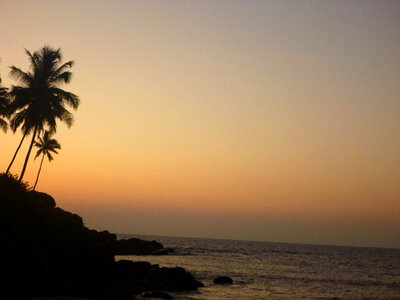 Sunset Palms Sea photo