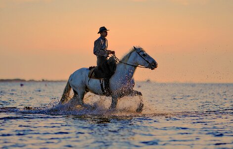 Man Horse Cowboy Hat Sea Water Photo photo