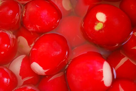 Red root edible