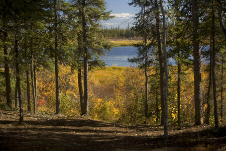 Scenic view at Yukon Flats National Wildlife Refuge photo