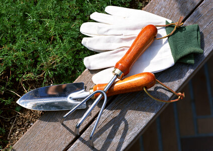 Garden tools on wood photo