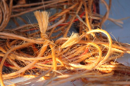 Snarled cord in the sun