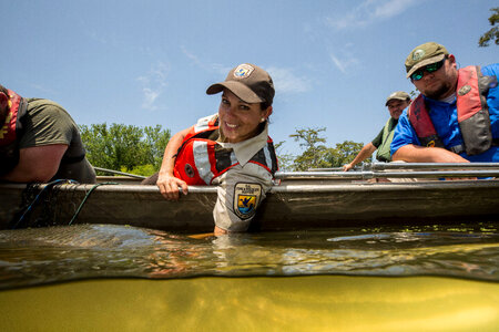 Alligator gar-1