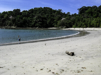 Sandy shoreline in Costa Rica photo