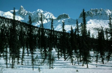Distance winter 