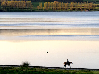 Single horse rider resting by the lake