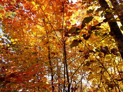 Colour colorful season
