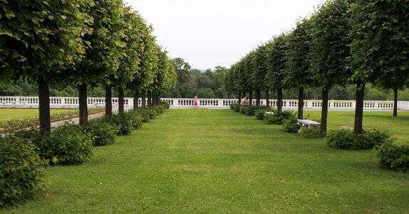 Avenue vision panorama photo