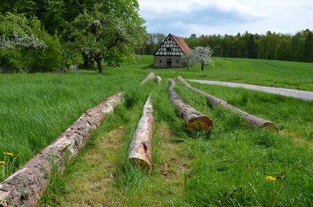 Barn stem spring