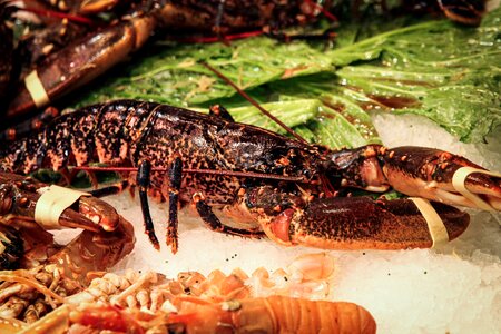 Crab fish market seafood