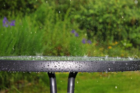 Drip water raindrop photo