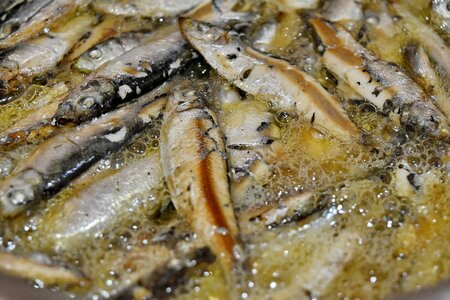 Cooking fish food