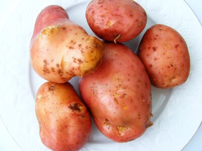 Fresh organic healthy