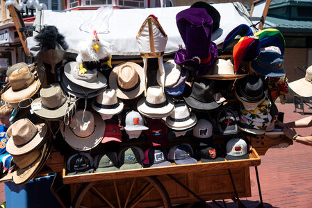 Hats on the stand