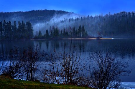 Branch cloud coast photo