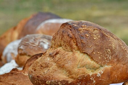 Homemade wheat bread photo