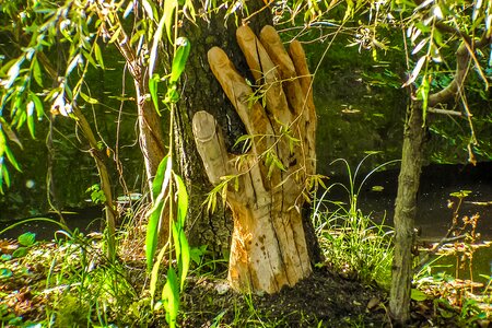 The statue of wood tree