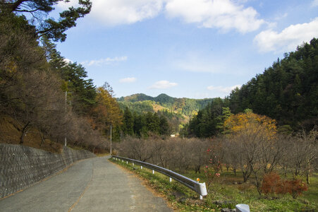 21 Mitsutoge