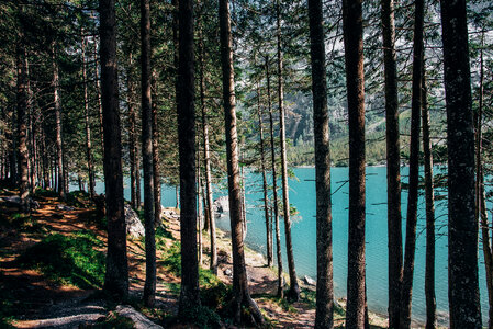 Blue Mountain Lake Through Trees photo