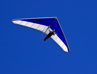 Flying gliding blue and white photo