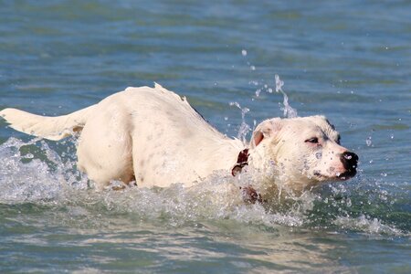 Jump ocean water