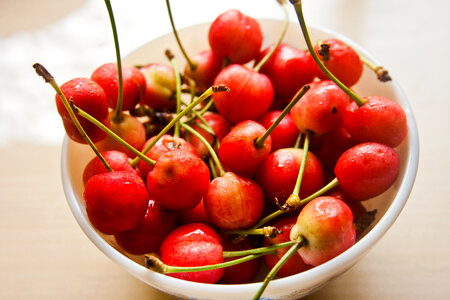 Bowl Of Cherry Fruit photo