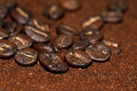 Bean brown caffeine photo