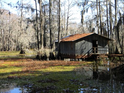 Shack rural wetlands photo