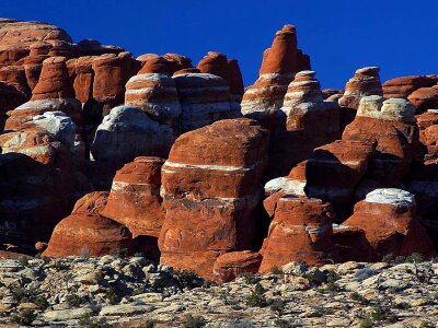 Domestic national park park