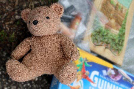 Teddy bear soft toy stuffed animal photo