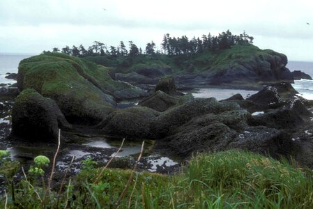 Coast rocks 