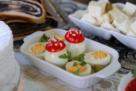 Egg egg yolk egg white
