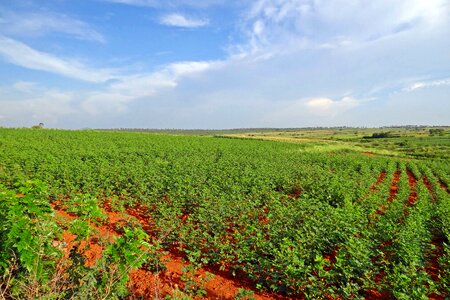 Valley landscape nature