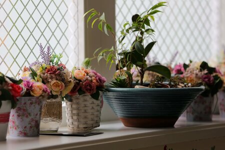 Decorative windows flowerpot photo