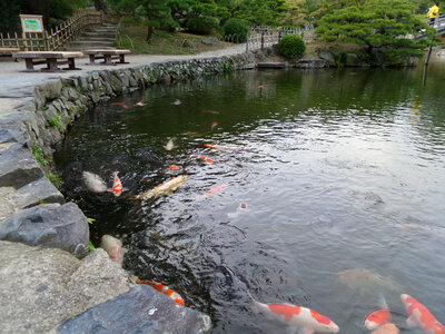 Japanese Garden in Takamatsu Japan