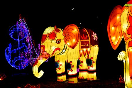 China colorful elephant photo
