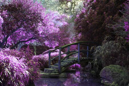 Garden park wooden