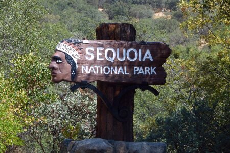 Wooden sequoia national park california photo