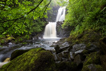 Scotland nature idyllic