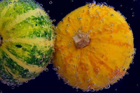 Beautiful Photo bubble decoration