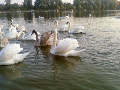 Beautiful river 
