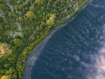 Forest and Lake Top View photo