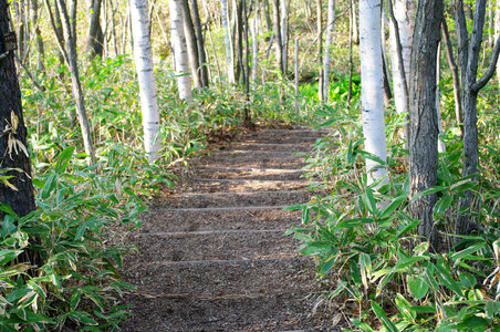 3 Stairs